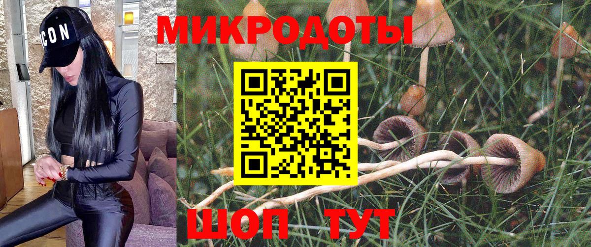 Псилоцибиновые грибы Psilocybine cubensis  Псилоцибиновые грибы ЛСД  Десногорск  Вход с VPN 